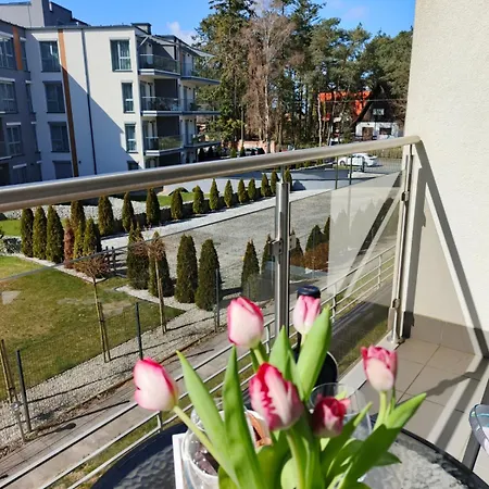 Arbuzowy Zachod Slonca *