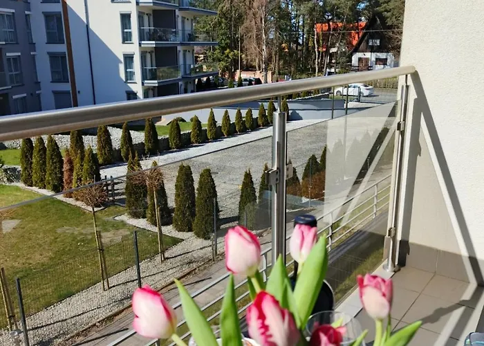 Arbuzowy Zachod Slonca *